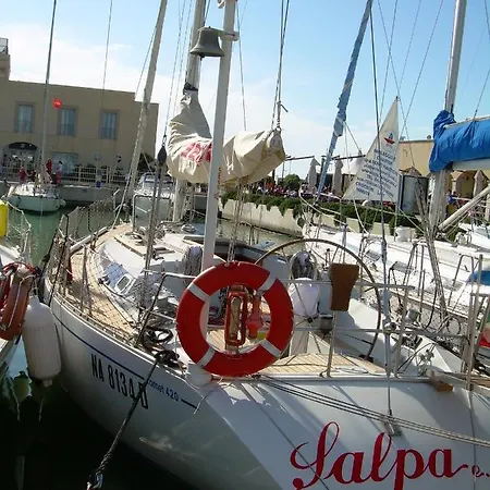 بوتيل Salpae